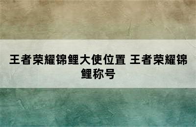 王者荣耀锦鲤大使位置 王者荣耀锦鲤称号